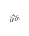 Exhaust Manifold Bolt Kit