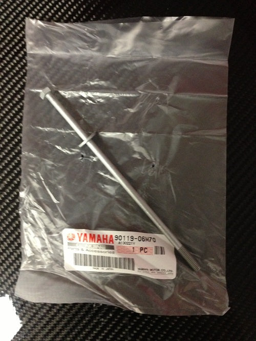 144 Long Pump Bolt