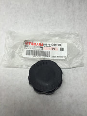 Fuse cap Yamaha oem electric box
