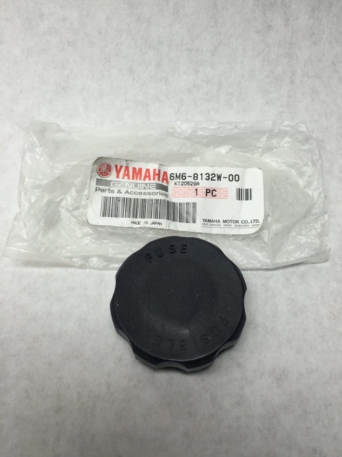 Fuse cap Yamaha oem electric box